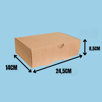 CAJAS MULTIUSO 24,5x14,8,5CM